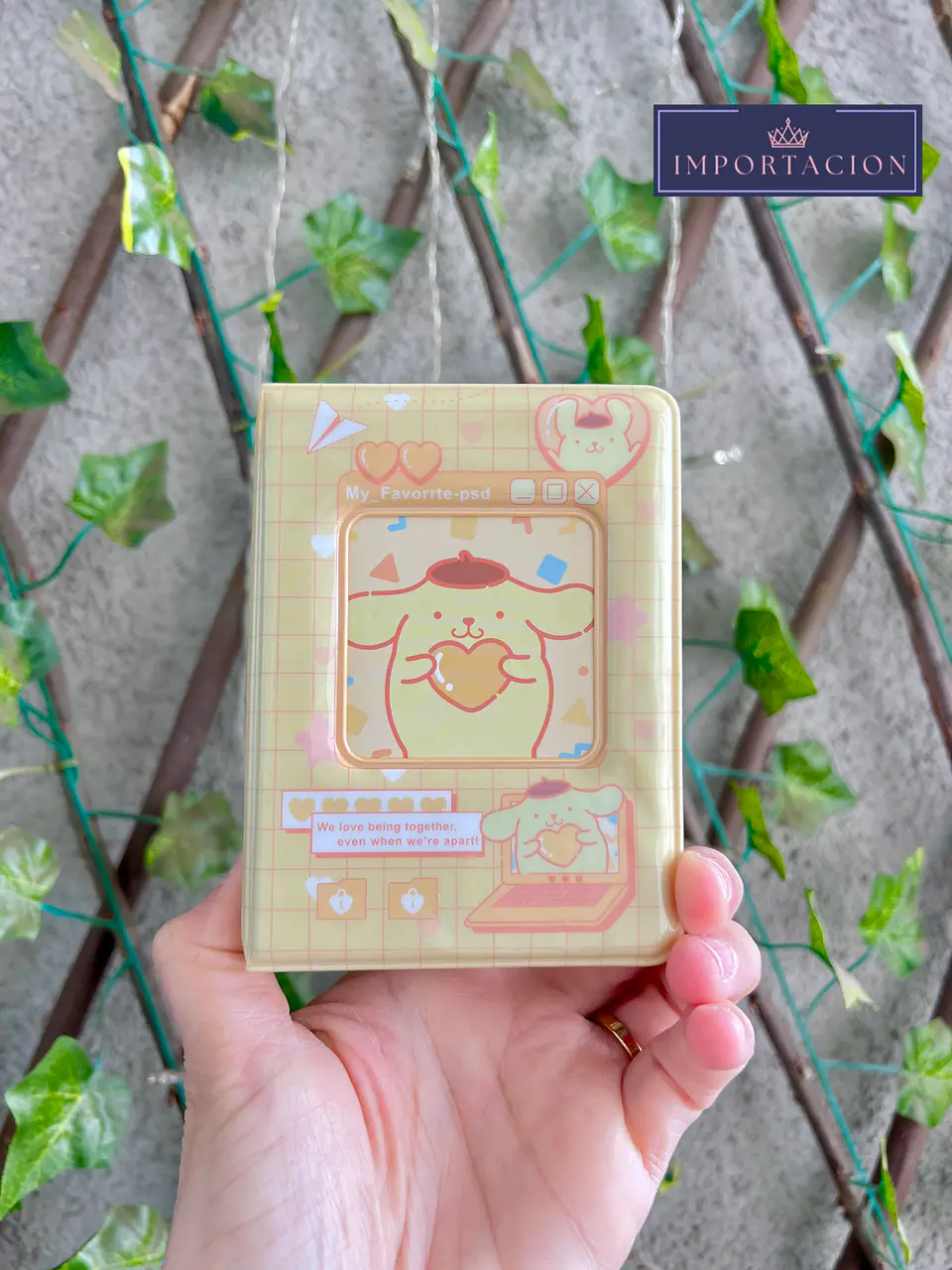 Preventa Binder Para Photocards Kpop San Rio 11