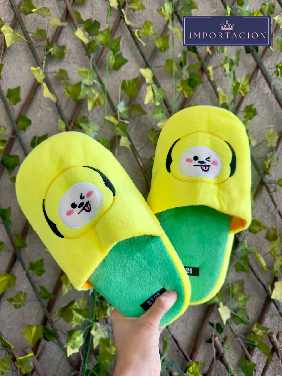 Preventa Pantuflas abiertas BT21 7 miembros 4