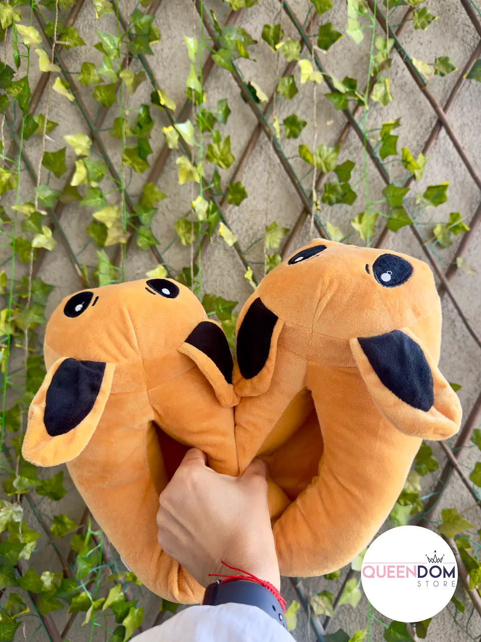 Pantufla Cerrada Eevee Pokemon 3