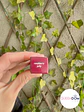 Preventa Lápiz Labial Rhode Summer Lip Hailey  - Miniatura 22