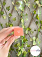 Preventa Lápiz Labial Rhode Summer Lip Hailey  - Miniatura 31