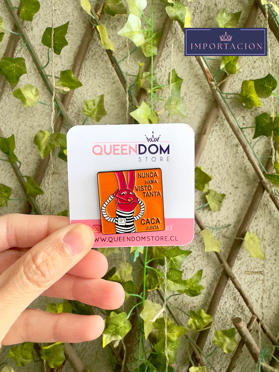 Preventa Pin 31 Minutos 4