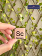 Preventa Pin Sarcasmo - Miniatura 1
