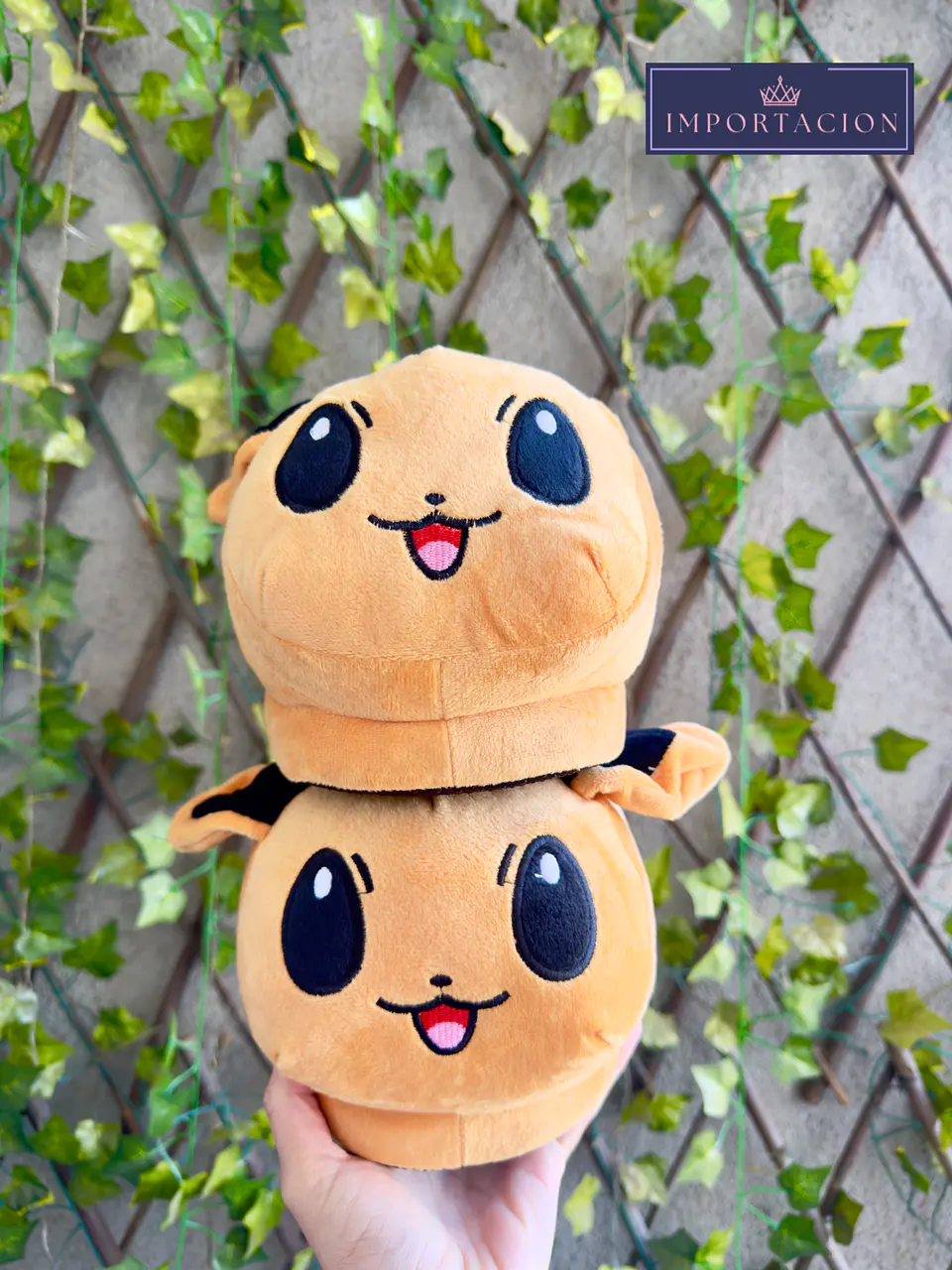 Preventa Pantuflas Cerradas Pokemon 5