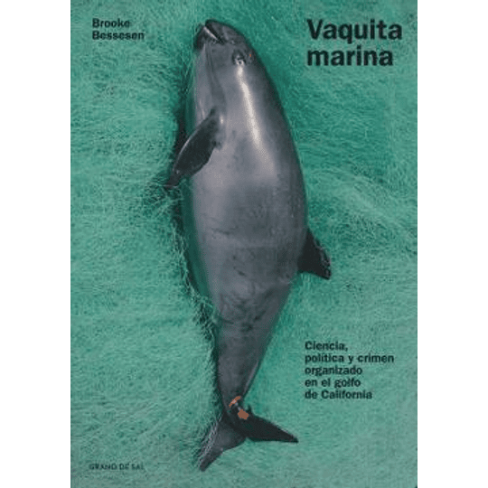 Vaquita Marina
