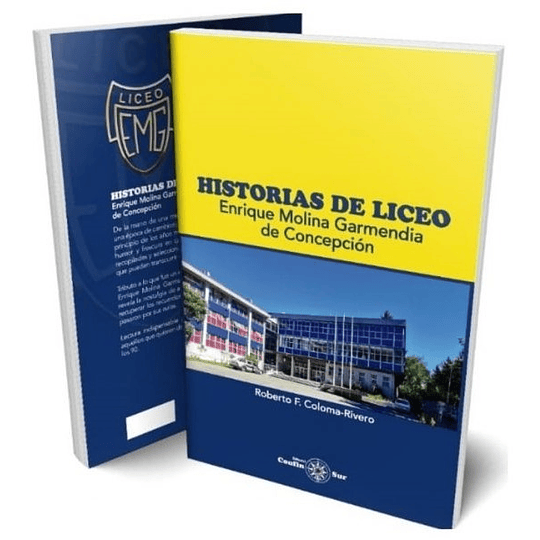 Historias De Liceo Enrique Molina Garmendia De Concepcion