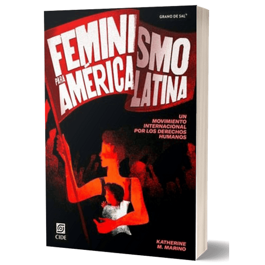 Feminismo Para América Latina