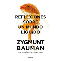 Reflexiones Sobre Un Mundo Liquido