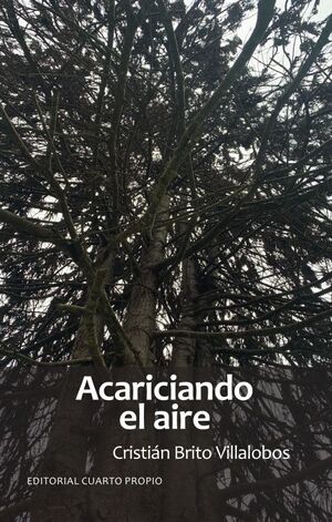 Acariciando el aire