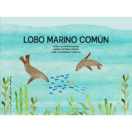 Lobo Marino Comun