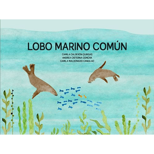 Lobo Marino Comun
