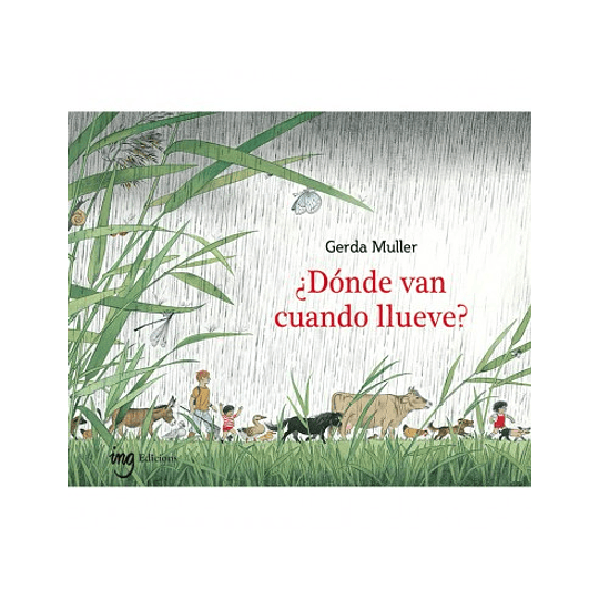 ¿Dónde Van Cuando Llueve?