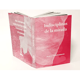 Indisciplinas De La Mirada