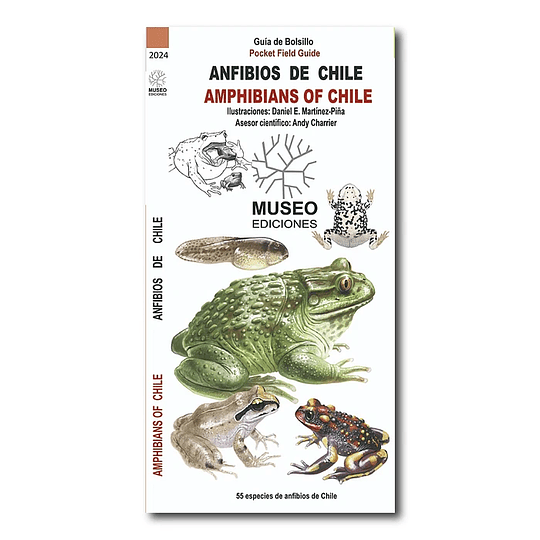 Anfibios De Chile 