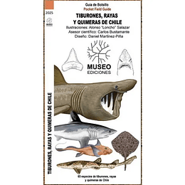 Guia De Bolsillo - Tiburones, Rayas Y Quimeras Del Sur De Chile