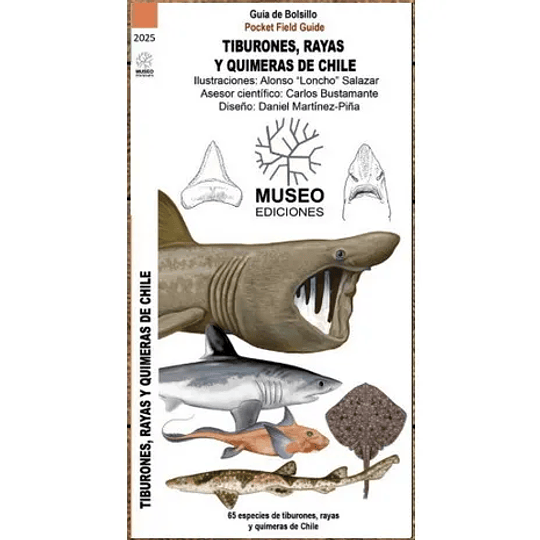 Guia De Bolsillo - Tiburones, Rayas Y Quimeras Del Sur De Chile