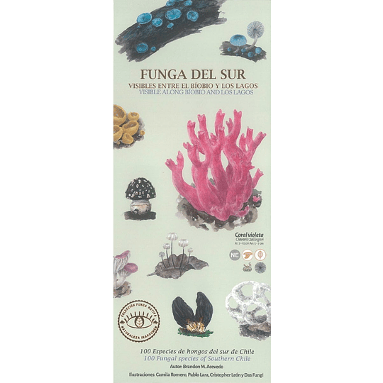 Guia De Bolsillo - Funga Del Sur Visibles Entre El Bio Bio