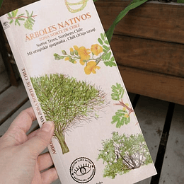 Guia Arboles Nativos Zona Norte De Chile