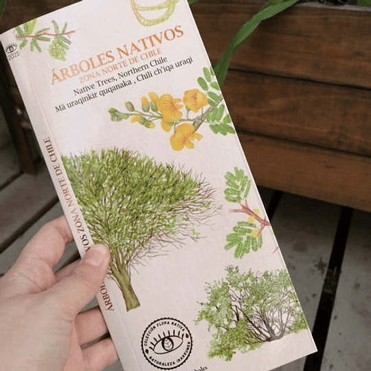 Guia Arboles Nativos Zona Norte De Chile