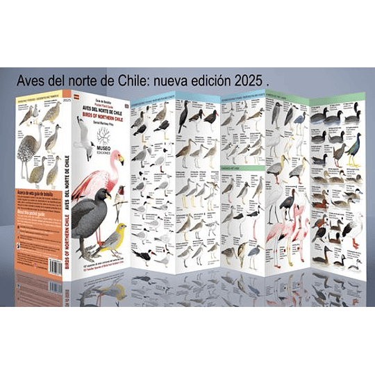 Guia De Bolsillo - Aves Del Norte De Chile