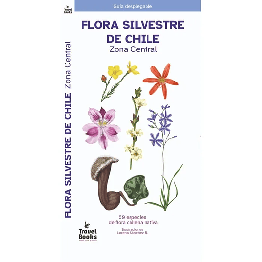 Guia De Bolsillo - Flores Silvestres De Chile Central
