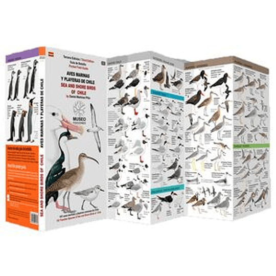 Guia De Bolsillo Aves Marinas Y Playeras De Chile
