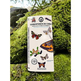 Guia De Bolsillo - Lepidopteros De Chile, Polillas De La Familia Saturniidae