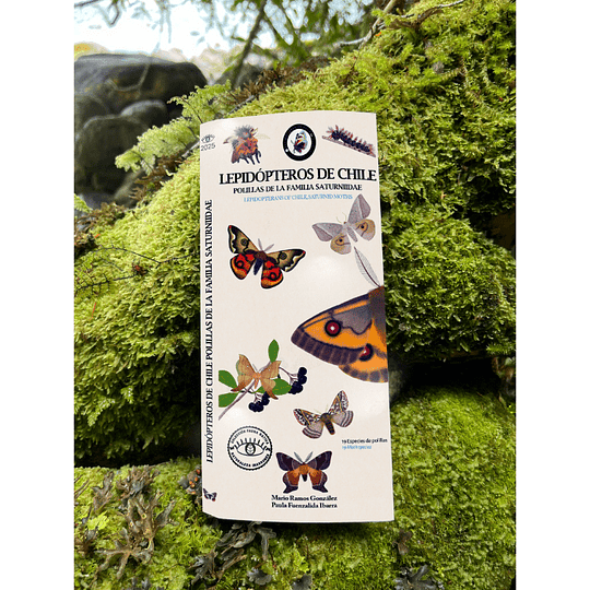Guia De Bolsillo - Lepidopteros De Chile, Polillas De La Familia Saturniidae