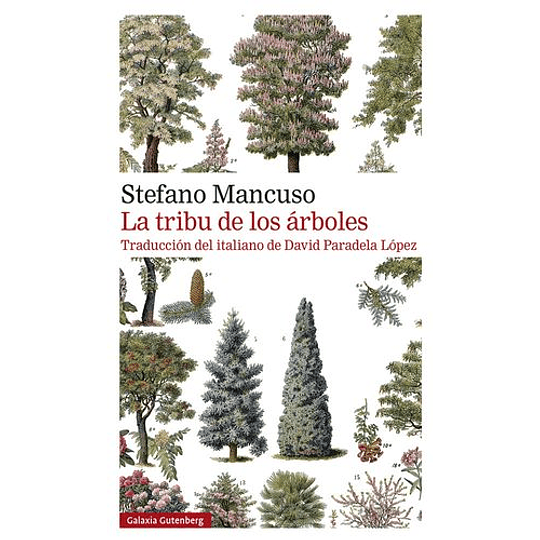 La Tribu De Los Arboles