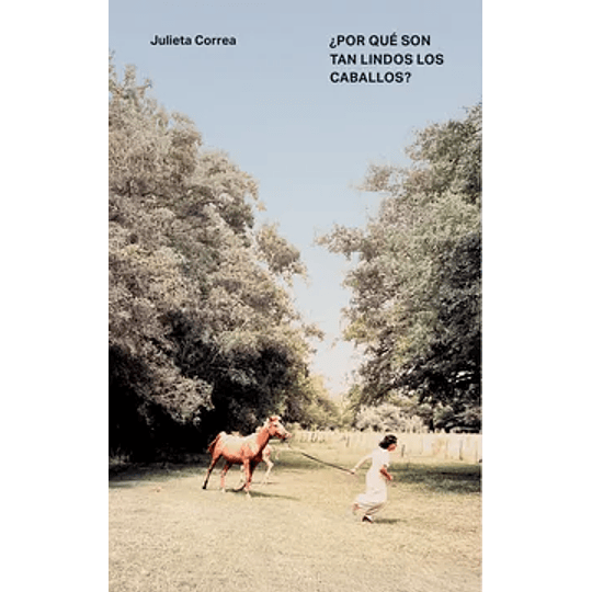 ¿Por Que Son Tan Lindos Los Caballos?
