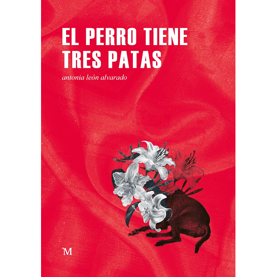 El Perro Tiene Tres Patas