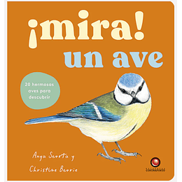 ¡Mira! Un Ave