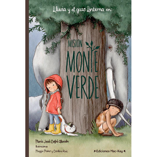 Lluvia Y El Gato Linterna En Mision Monte Verde