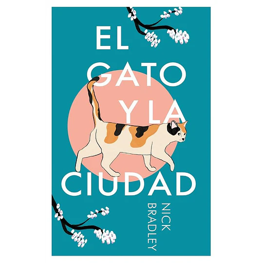 El Gato Y La Ciudad
