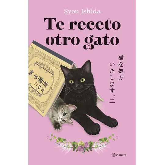 Te Receto Otro Gato