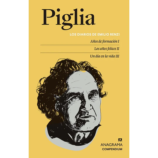 Los Diarios De Emilio Renzi