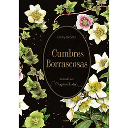 Cumbres Borrascosas