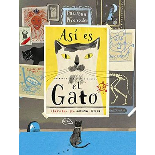 Asi Es El Gato