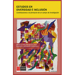 Estudios En Diversidad E Inclusion