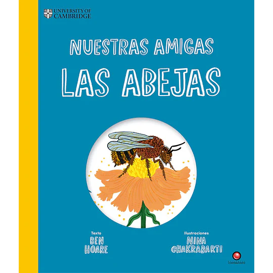 Nuestras Amigas Las Abejas
