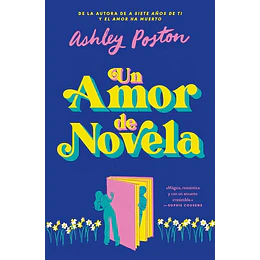 Un Amor De Novela