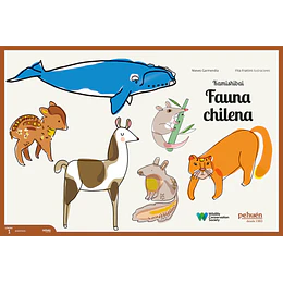 Kamishibai Fauna Chilena