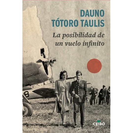 La Posibilidad De Un Vuelo Infinito