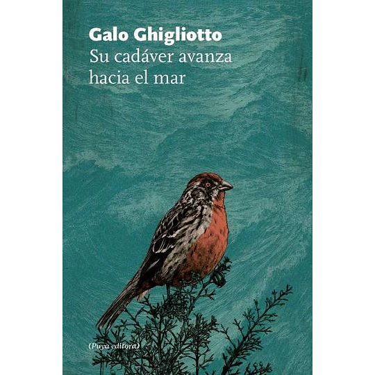 Su Cadaver Avanza Hacia El Mar