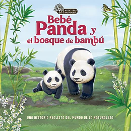 Bebe Panda Y El Bosque De Bambu
