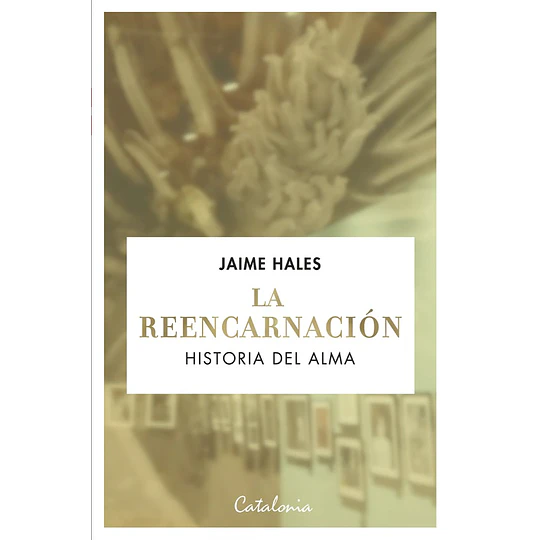 La Reencarnacion Historia Del Alma
