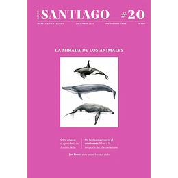 Revista Santiago N°20