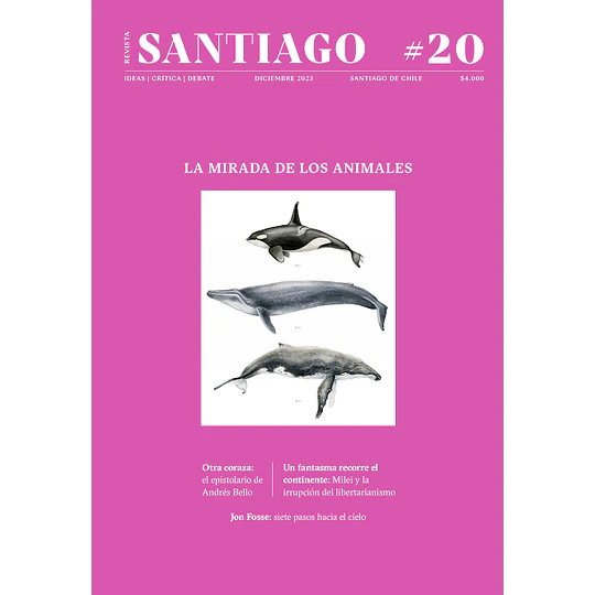Revista Santiago N°20