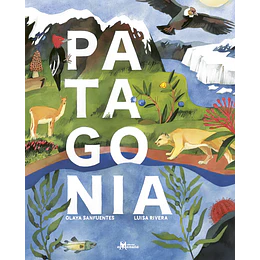 Patagonia