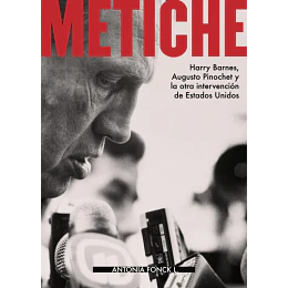 Metiche